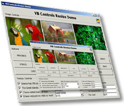 ActiveResize Control Screenshot